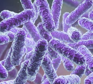 How the Microbiome Might Predict Diabetes, Premature Birth and Gut Diseases 8