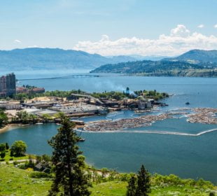 Blood Cancer Community Comes Together for Light The Night Okanagan Community Walk 9