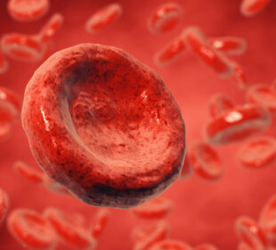 The Explanation Behind Why The Cells Are So Small 1 The Explanation Behind Why The Cells Are So Small 1