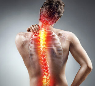 Creating India's largest back ache facts bank 1 Creating India's largest back ache facts bank 1