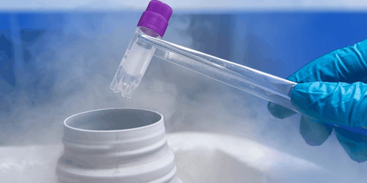 Tips for Frozen Embryo Transfer