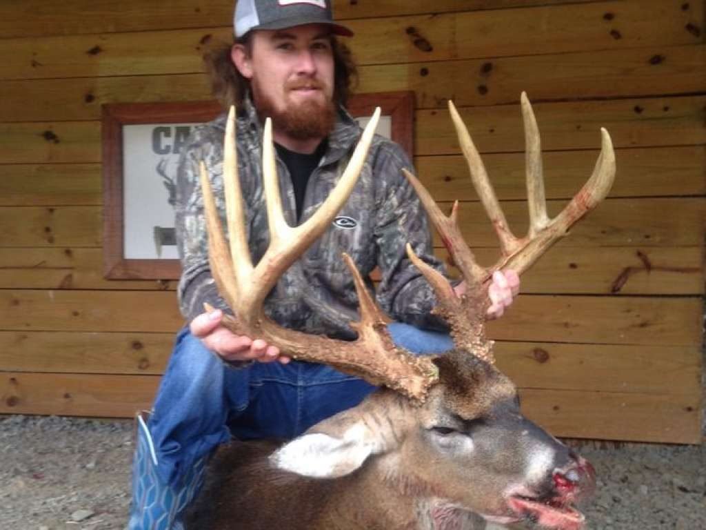 Killing a Application That Brings Records to Lifestyles