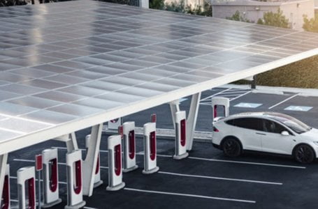 The internet loves Lorde's Inexperienced Mild 4