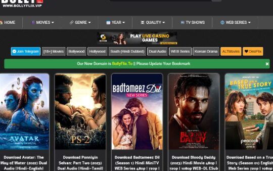 Bolly Flix: The Ultimate Destination for Bollywood Entertainment 28