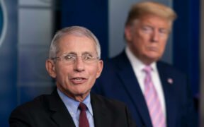 Cultural Intelligence: How US Leaders Improve Race Relations 1