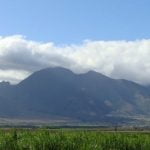 Maui Units Roadmap Strategy to bolster, Diversify Economy 2