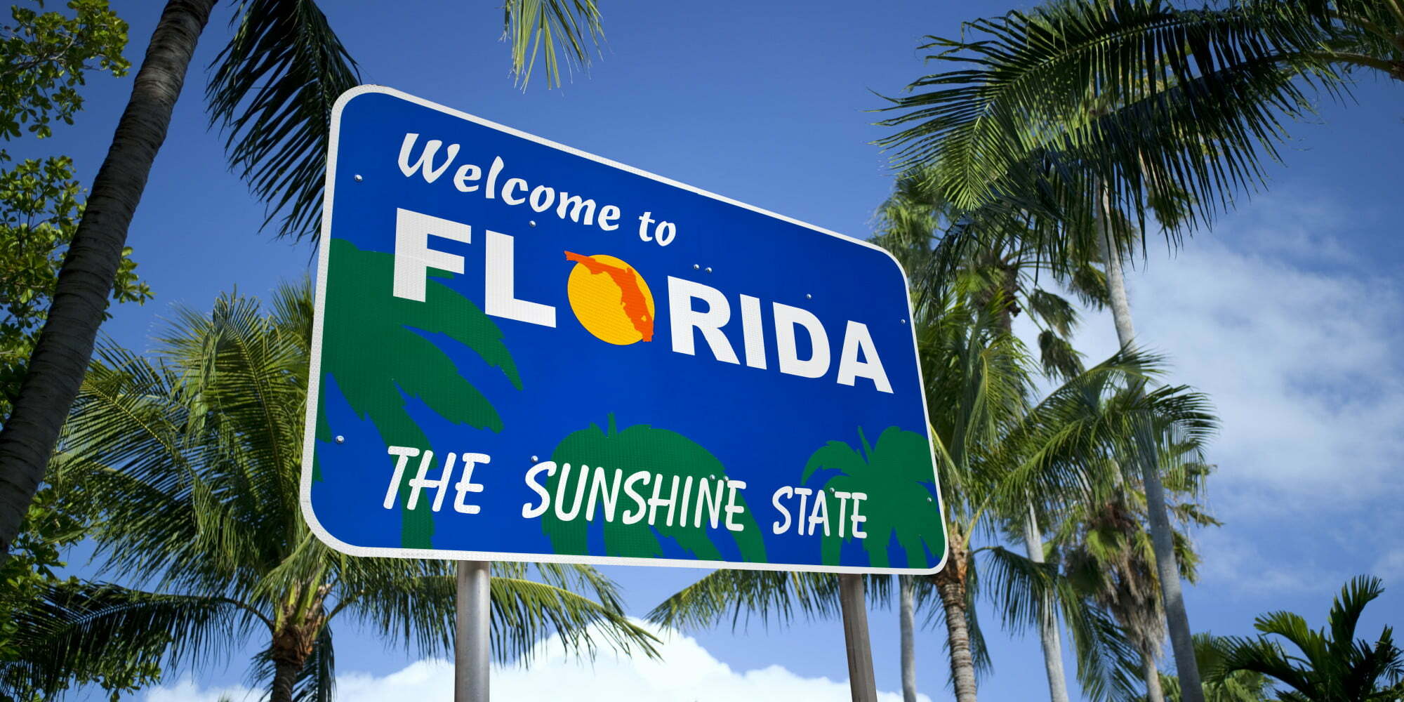 Tips To Improve Your Chances Of Studying In The USA 1