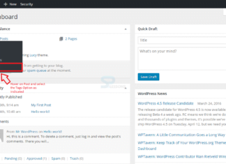 WordPress Tags – What You Need to Know Home 9