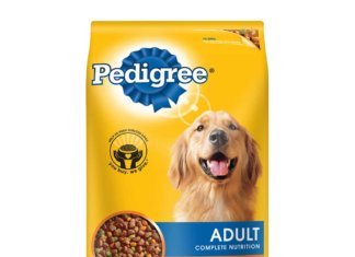 Are Dry Dog Foods Good For Your Dog?