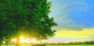 Uncover Some Great Natural Beauty Tips For Your Face Home 7