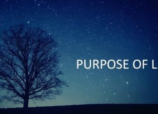 Living Life Of Purpose With Energy Healing Of Spiritual Awakening Home 12