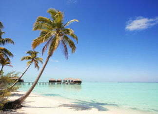 Virginia Beach Caribbean restaurant, Norfolk butcher shop will be featured