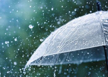 Cellular-cellular bolster avenue-degree rain forecasts 8