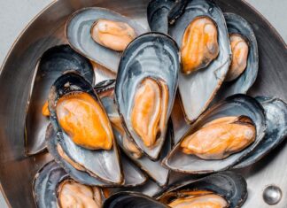 Certain mussels could be genetically gifted to survive acidification
