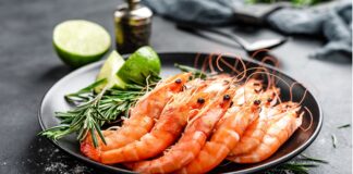 Tru Shrimp sets up plant to start producing shrimp in Minnesota