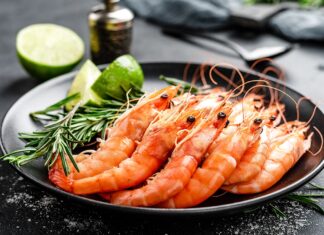 Tru Shrimp sets up plant to start producing shrimp in Minnesota