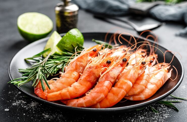 Tru Shrimp sets up plant to start producing shrimp in Minnesota Home 1