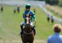 Royal Ascot 2017 day five tips: Sportsmail’s guide to the best bets