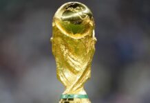 Beyond Runs and Wickets: Revealing Hidden Gems for World Cup 2023 Dream11 Success