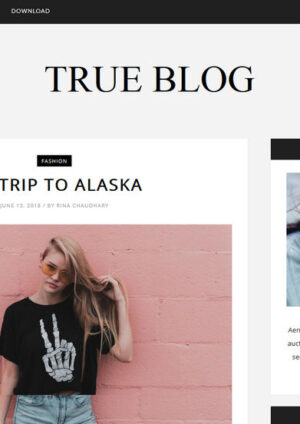 Modern Blogger Templates - Why They Are Popular 2
