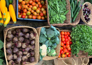 Why Is Organic Food More Expensive Than Conventional Food?