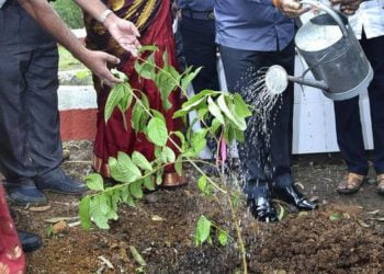 Stolen Books Were Planted