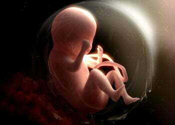 Govt college peon thrashes students mercilessly in front of a trainer